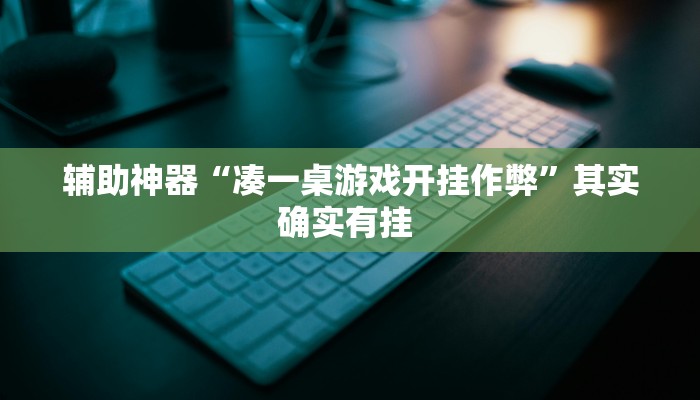 辅助神器“凑一桌游戏开挂作弊”其实确实有挂 
