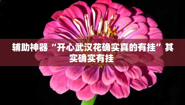 辅助神器“开心武汉花确实真的有挂”其实确实有挂 