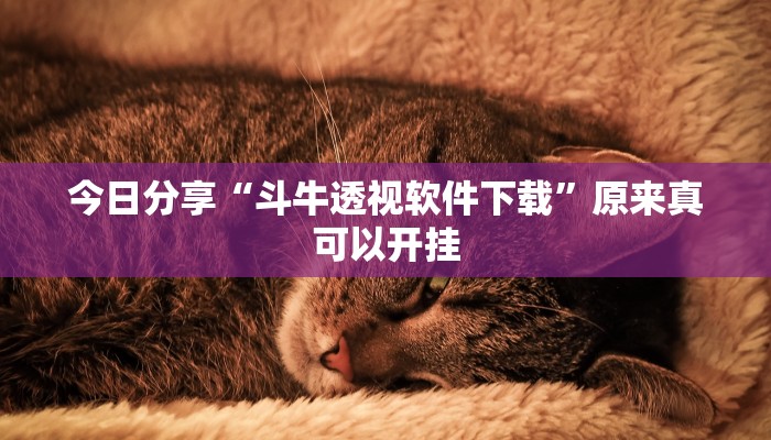 教程辅助“玄龙二厅究竟可以开挂吗”其实确实有挂 