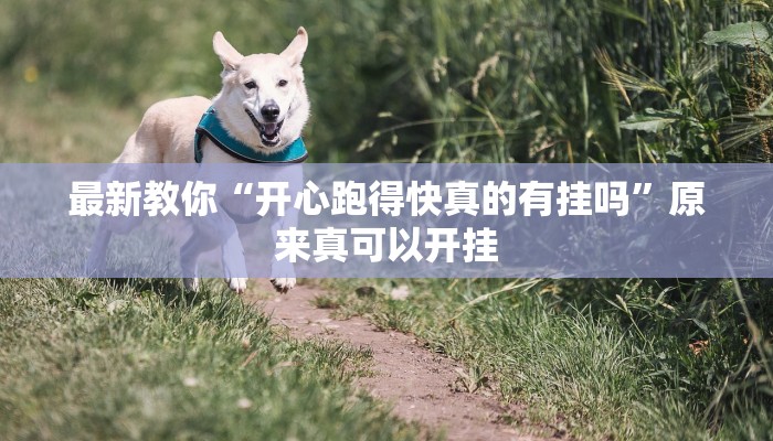 最新教你“开心跑得快真的有挂吗”原来真可以开挂