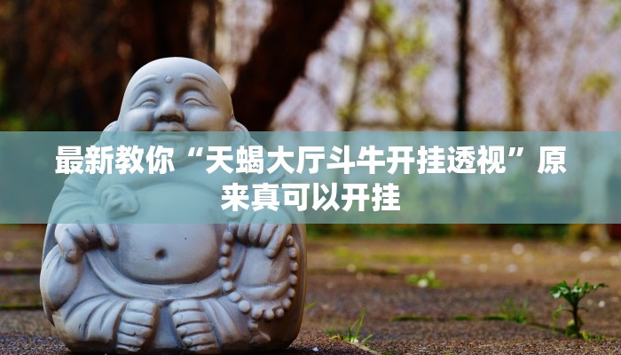 最新教你“天蝎大厅斗牛开挂透视”原来真可以开挂