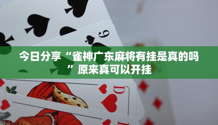 今日分享“雀神广东麻将有挂是真的吗”原来真可以开挂