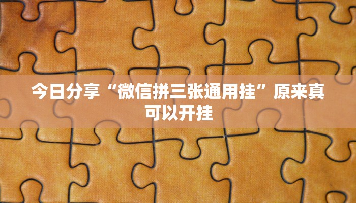 今日分享“微乐贵州麻将开挂神器”原来真可以开挂