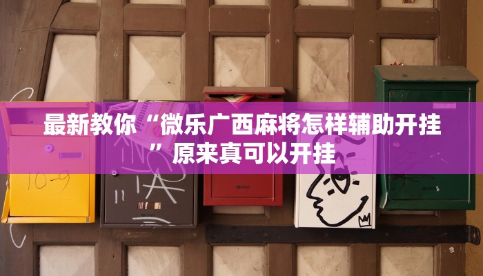 辅助神器“钱塘十三水开挂神器”(详细开挂教程)
