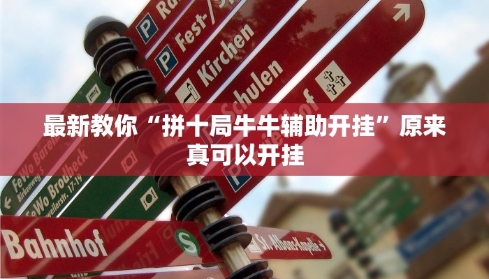 今日分享“同城游比鸡辅助软件”原来真可以开挂