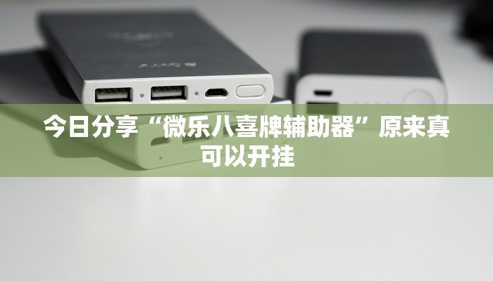辅助神器“微乐广东麻将开挂神器下载”其实确实有挂 