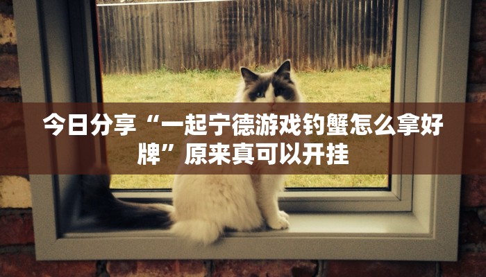 今日分享“一起宁德游戏钓蟹怎么拿好牌”原来真可以开挂