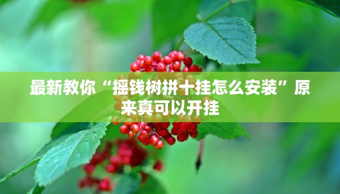 最新教你“摇钱树拼十挂怎么安装”原来真可以开挂