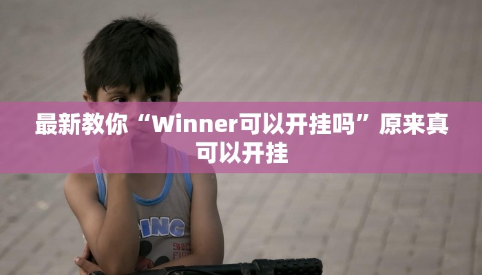 最新教你“Winner可以开挂吗”原来真可以开挂