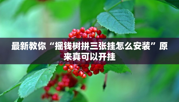 最新教你“摇钱树拼三张挂怎么安装”原来真可以开挂