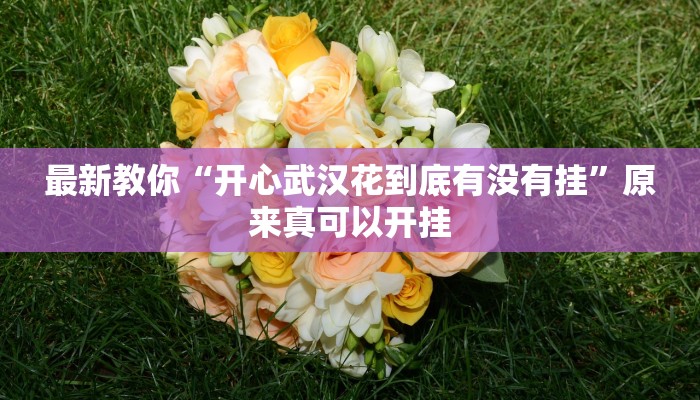 最新教你“开心武汉花到底有没有挂”原来真可以开挂