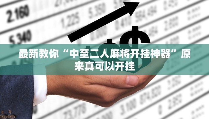 最新教你“中至二人麻将开挂神器”原来真可以开挂