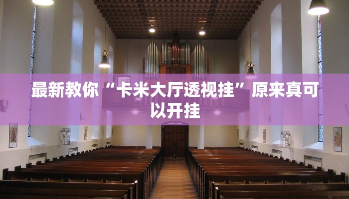 最新教你“温岭逸趣麻将神器开挂”原来真可以开挂