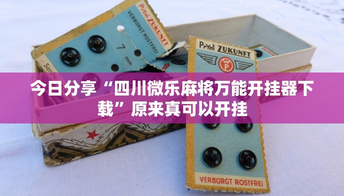 最新教你“随身13道开挂怎么使用的”原来真可以开挂