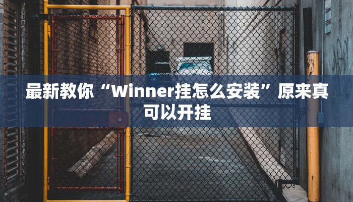 最新教你“Winner挂怎么安装”原来真可以开挂