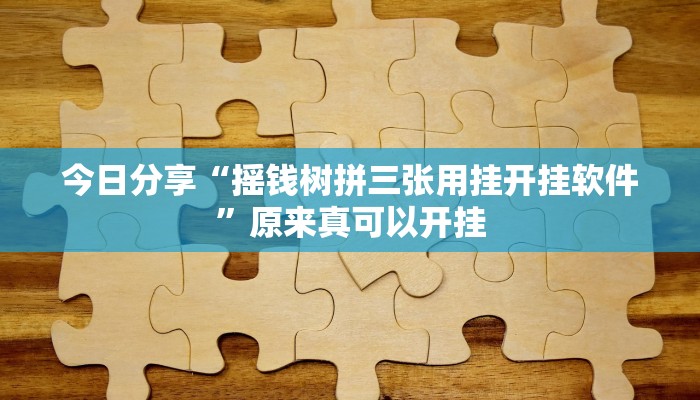 辅助神器“云龙干瞪眼麻将开卦神器”(详细开挂教程)
