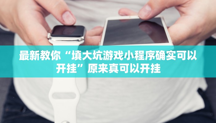最新教你“填大坑游戏小程序确实可以开挂”原来真可以开挂