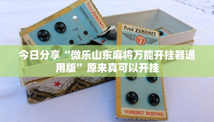 今日分享“微乐山东麻将万能开挂器通用版”原来真可以开挂