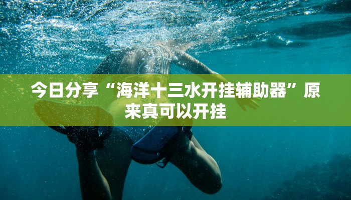 今日分享“海洋十三水开挂辅助器”原来真可以开挂
