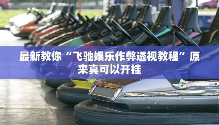 最新教你“飞驰娱乐作弊透视教程”原来真可以开挂