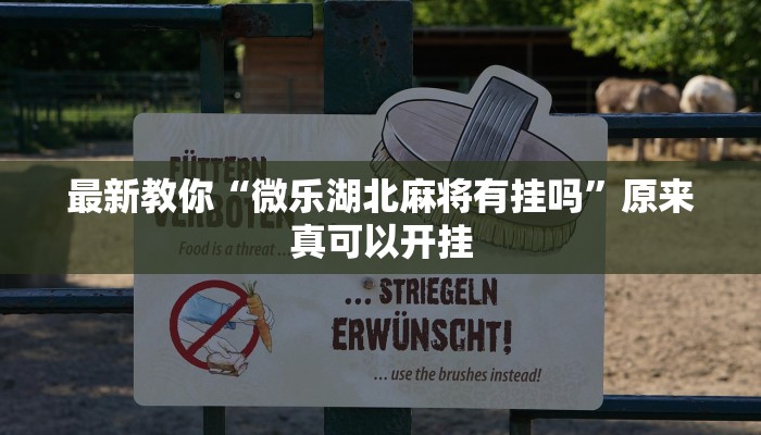 今日分享“乐平讨赏真的确实有挂”原来真可以开挂