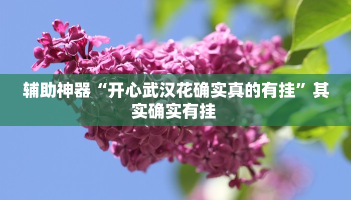 辅助神器“开心武汉花确实真的有挂”其实确实有挂 