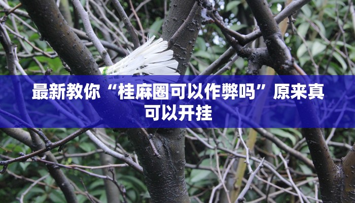 今日分享“大唐麻将外卦神器下载安装最新”原来真可以开挂