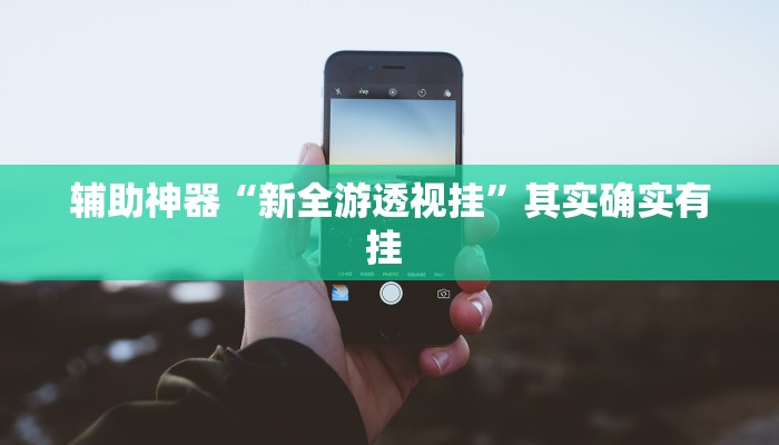 辅助神器“新全游透视挂”其实确实有挂 