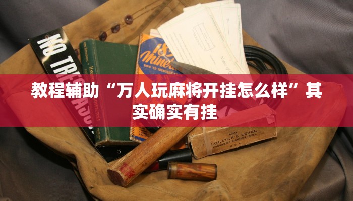 教程辅助“万人玩麻将开挂怎么样”其实确实有挂 