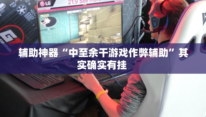 辅助神器“中至余干游戏作弊辅助”其实确实有挂 