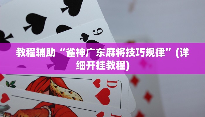 教程辅助“雀神广东麻将技巧规律”(详细开挂教程)