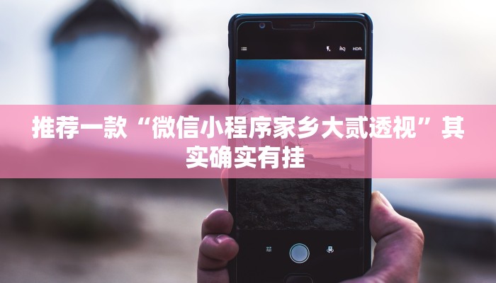 推荐一款“微信小程序家乡大贰透视”其实确实有挂 
