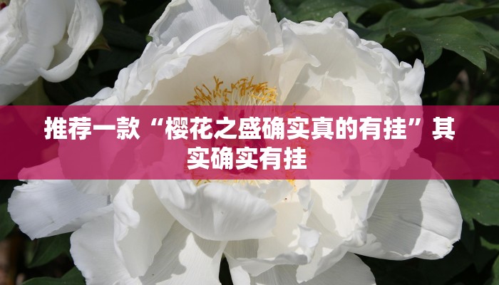 推荐一款“樱花之盛确实真的有挂”其实确实有挂 