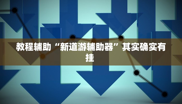 教程辅助“新道游辅助器”其实确实有挂 
