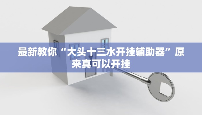 最新教你“大头十三水开挂辅助器”原来真可以开挂