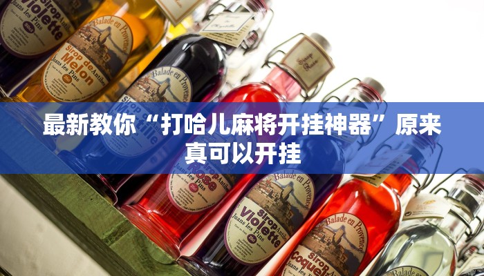 最新教你“打哈儿麻将开挂神器”原来真可以开挂