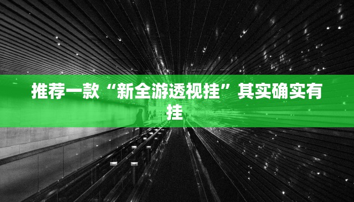 推荐一款“新全游透视挂”其实确实有挂 