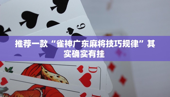推荐一款“雀神广东麻将技巧规律”其实确实有挂 