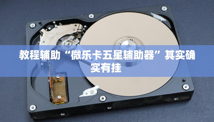 教程辅助“微乐卡五星辅助器”其实确实有挂 