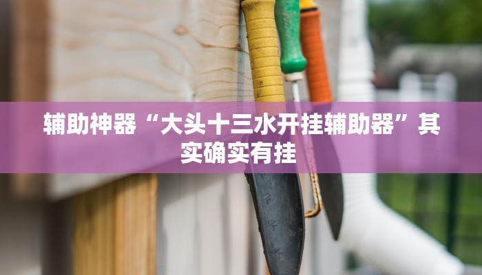 今日分享“wpk开挂透视辅助软件”原来真可以开挂