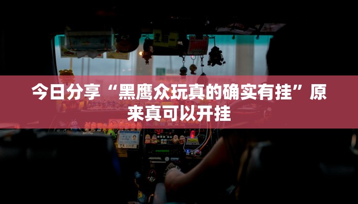 今日分享“黑鹰众玩真的确实有挂”原来真可以开挂
