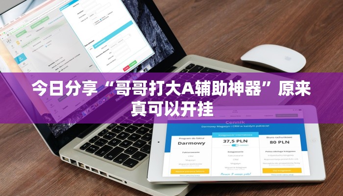 今日分享“哥哥打大A辅助神器”原来真可以开挂