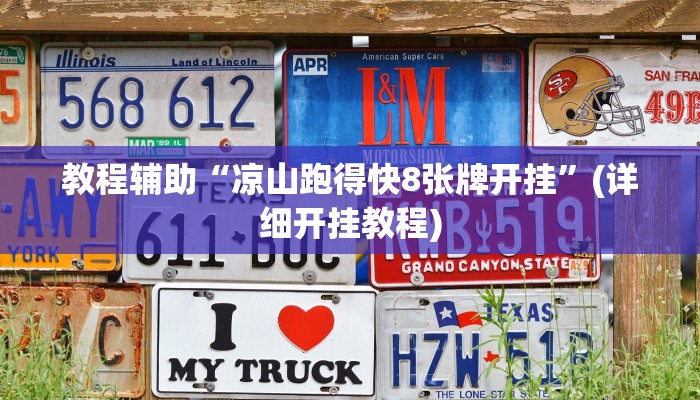 教程辅助“凉山跑得快8张牌开挂”(详细开挂教程)