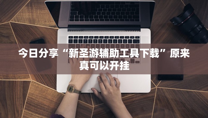 今日分享“新圣游辅助工具下载”原来真可以开挂