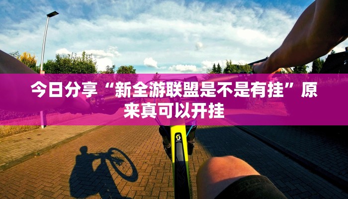 今日分享“新全游联盟是不是有挂”原来真可以开挂
