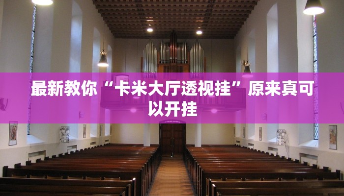 最新教你“卡米大厅透视挂”原来真可以开挂