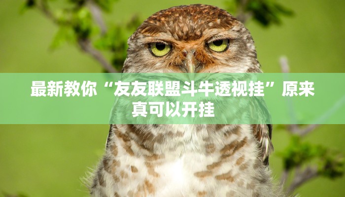 最新教你“友友联盟斗牛透视挂”原来真可以开挂
