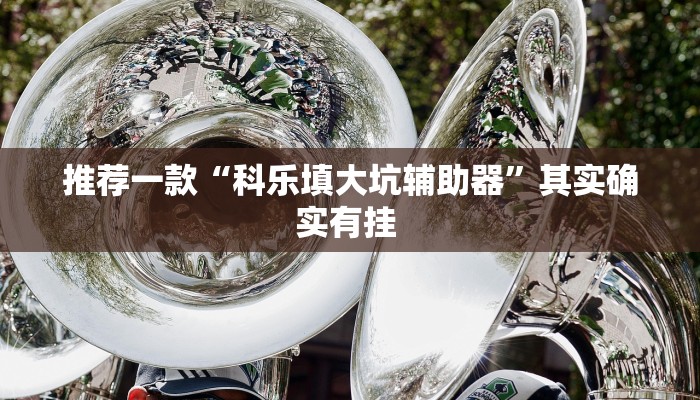 辅助神器“正宗乐平麻将可以开挂吗”其实确实有挂 