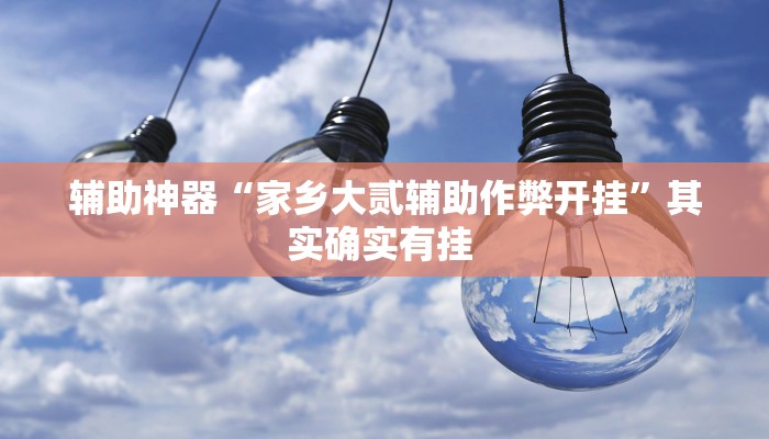 辅助神器“家乡大贰辅助作弊开挂”其实确实有挂 