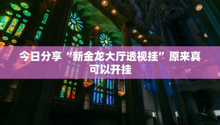 今日分享“新金龙大厅透视挂”原来真可以开挂